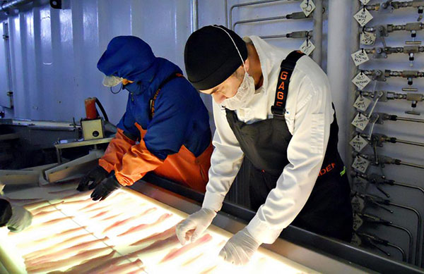 iglo_Qualitätskontrolle an Bord_600x400