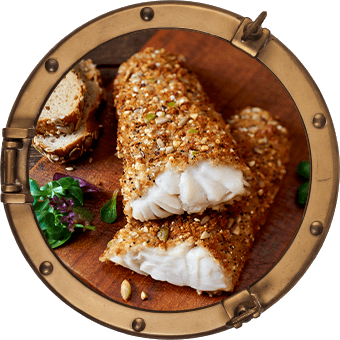 FILEGRO MEHRKORN PANADE