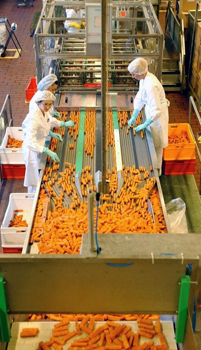 Fischstäbchen - besser als ihr Ruf