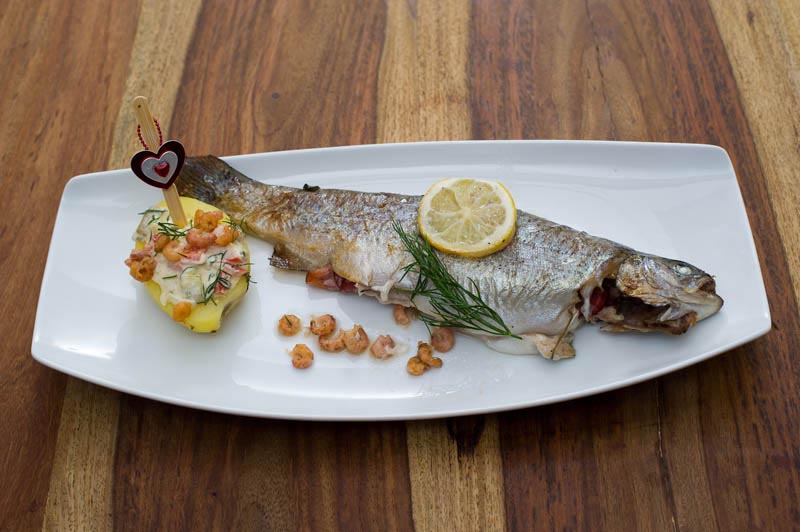 Verliebte Forelle aus dem Steinhuder Meer mit Krabben-Kuttern